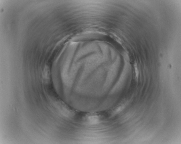 X0000070350228200607072046