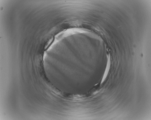 X0000070350229200607072046