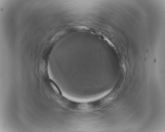 X0000070350231200607072046