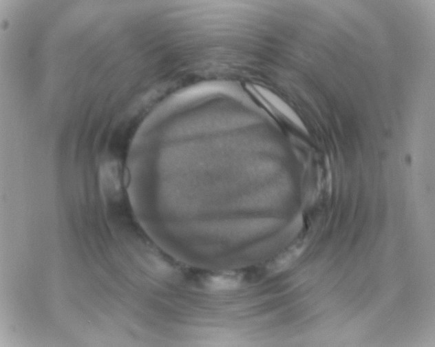 X0000070350232200607072046