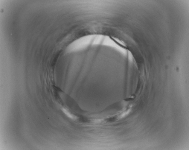 X0000070350233200607072046