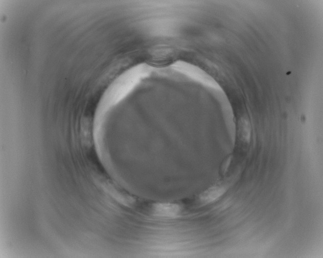 X0000070350234200607072046