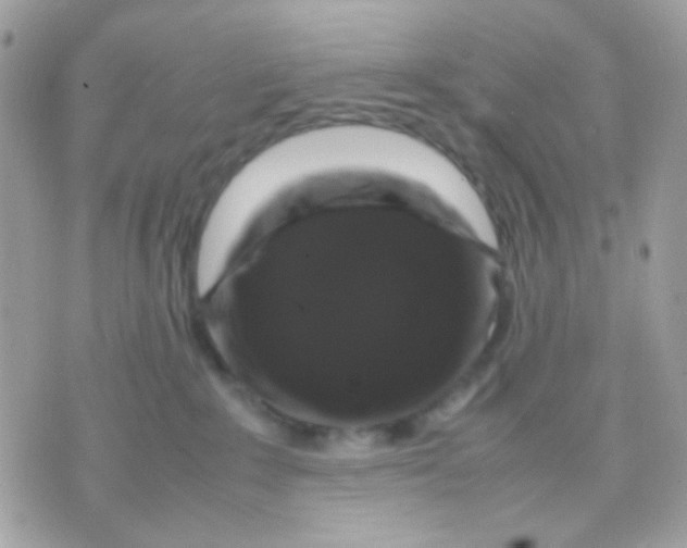 X0000070350235200607072046