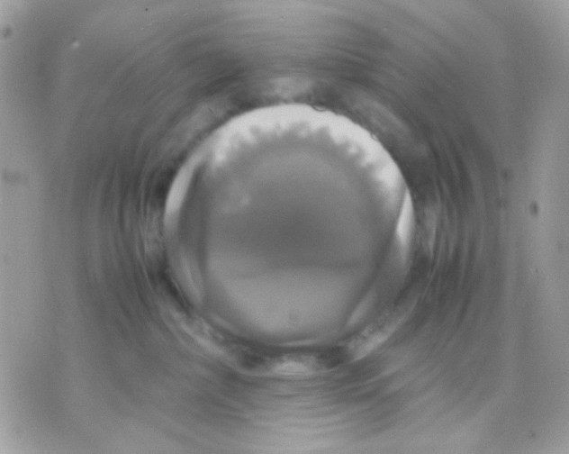 X0000070350236200607072046