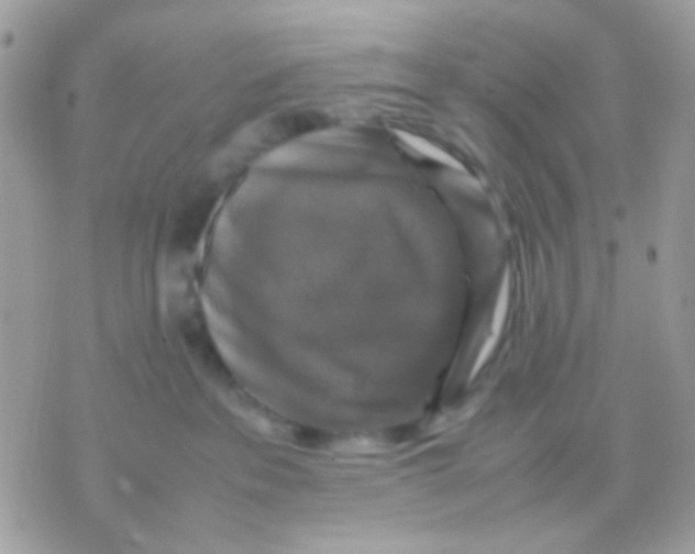 X0000070350237200607072046