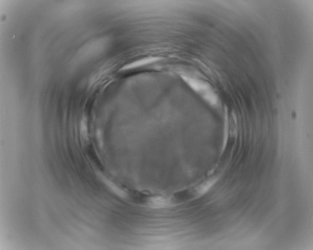 X0000070350238200607072046