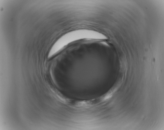 X0000070350239200607072046