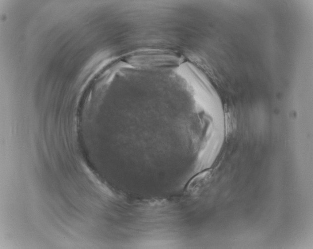 X0000070350243200607072045