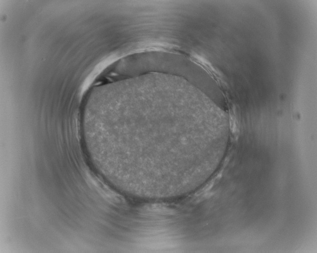 X0000070350244200607072045