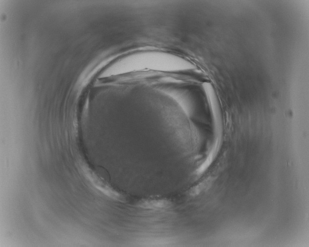 X0000070350247200607072045