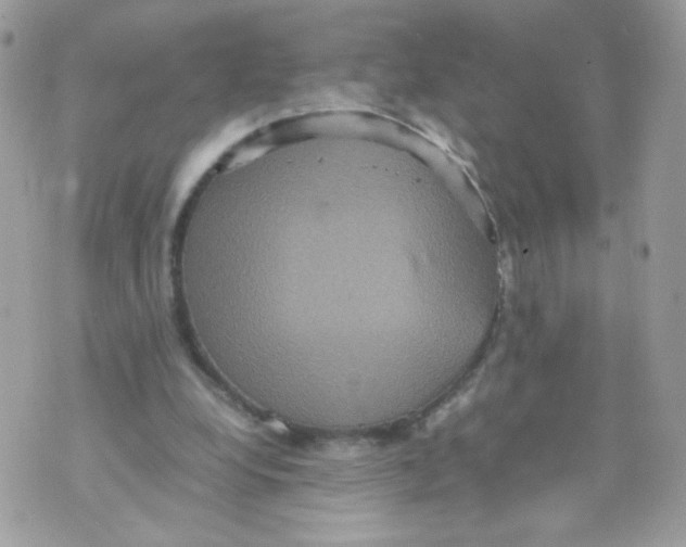 X0000070350248200607072045