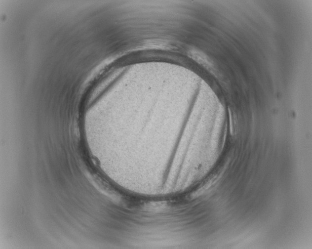 X0000070350252200607072045