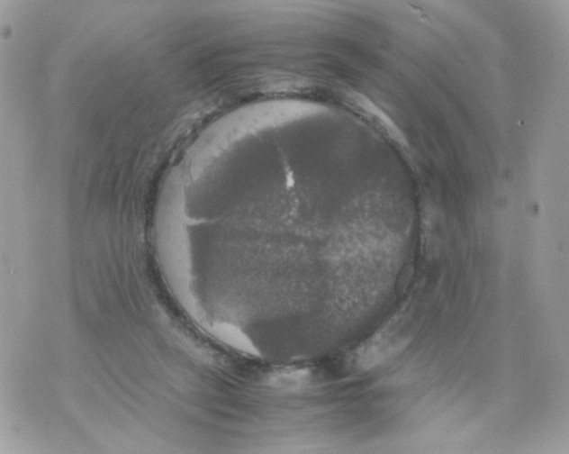 X0000070350257200607072045