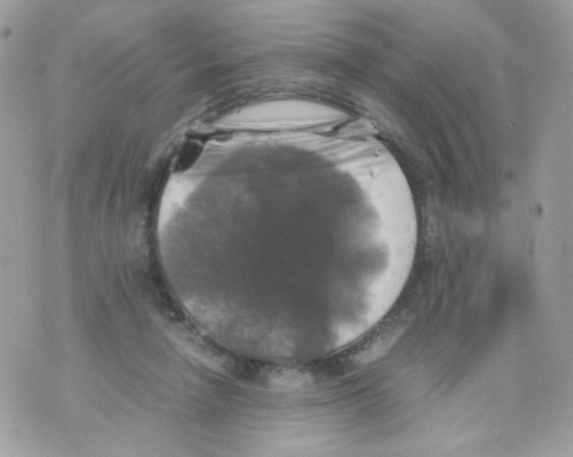 X0000070350258200607072045