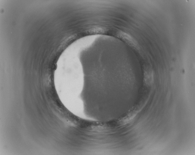 X0000070350259200607072045