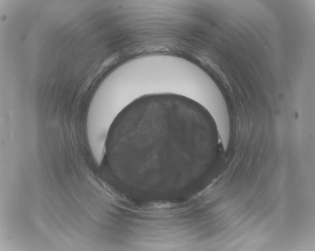 X0000070350260200607072045