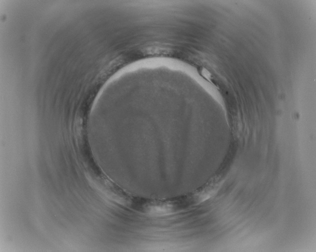 X0000070350263200607072045