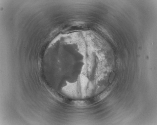 X0000070350265200607072045