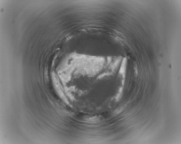 X0000070350267200607072045