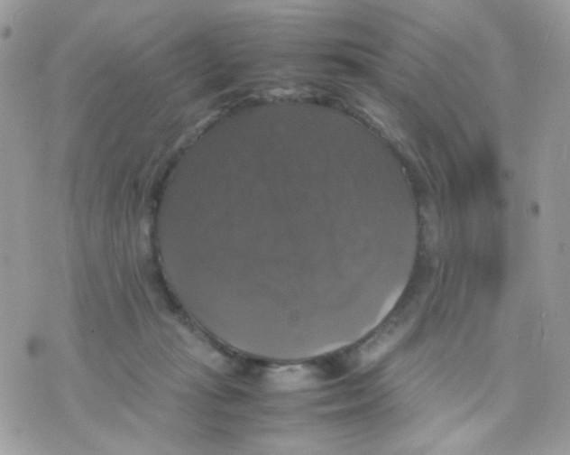 X0000070350269200607072045