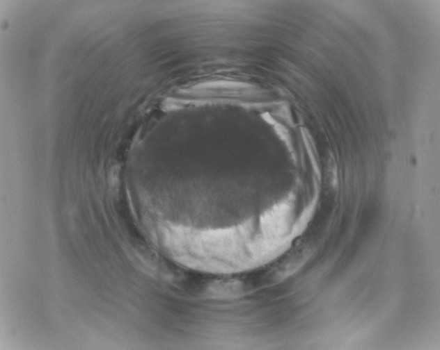 X0000070350271200607072046