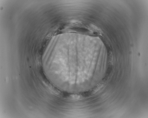 X0000070350272200607072046