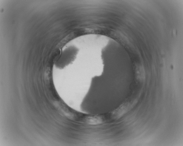 X0000070350275200607072046