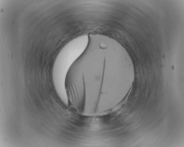 X0000070350276200607072046