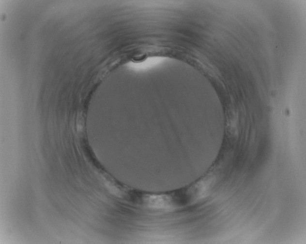 X0000070350277200607072046