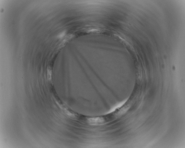 X0000070350281200607072046