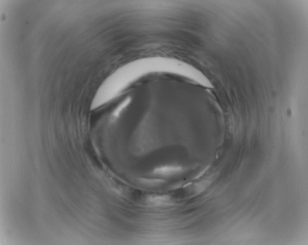 X0000070350283200607072046