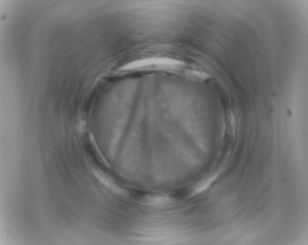 X0000070350284200607072046