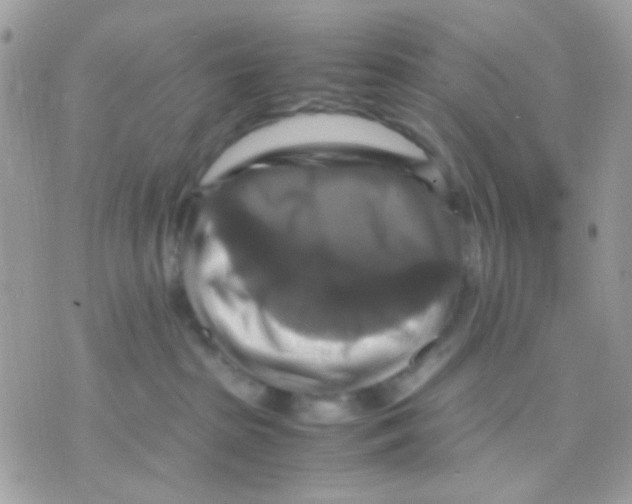 X0000070350285200607072046