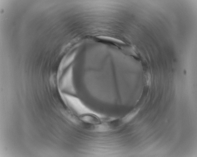 X0000070350286200607072046