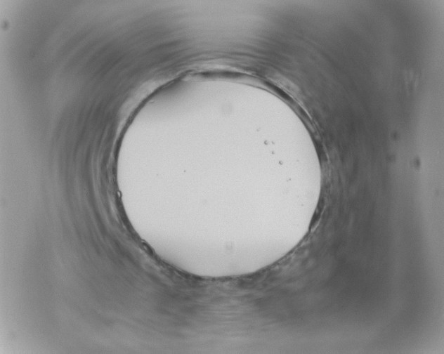 X0000070350289200607072045