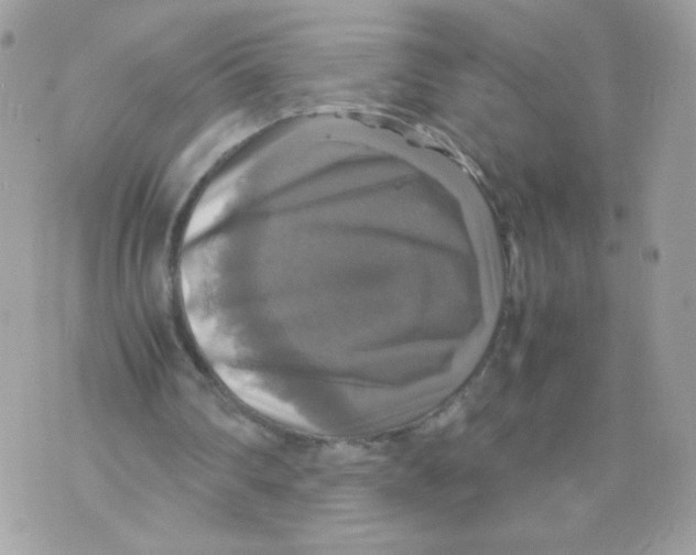 X0000070350290200607072045