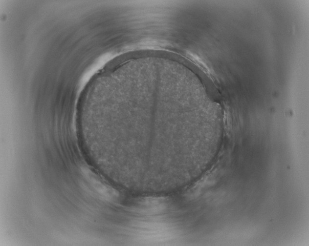 X0000070350292200607072045