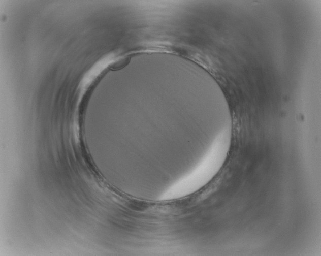 X0000070350294200607072045