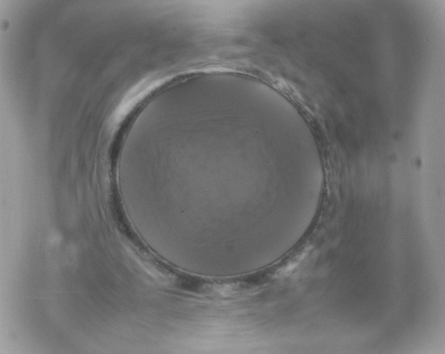 X0000070350295200607072045