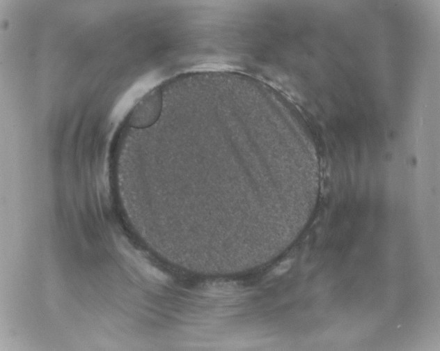 X0000070350296200607072045