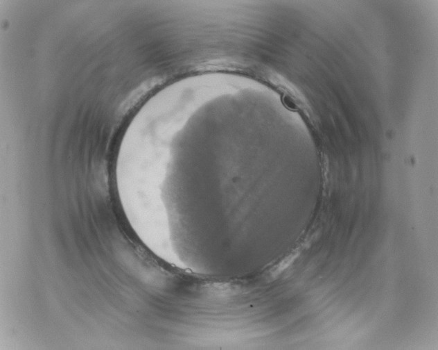 X0000070350298200607072045