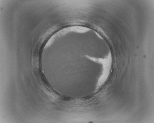 X0000070350299200607072045