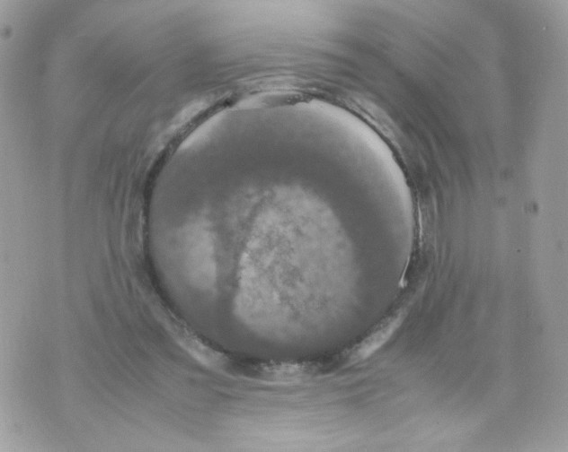 X0000070350301200607072045