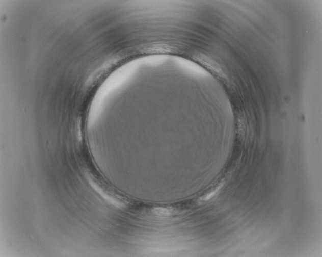 X0000070350302200607072045