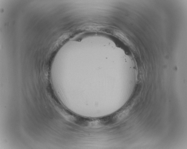 X0000070350309200607072045