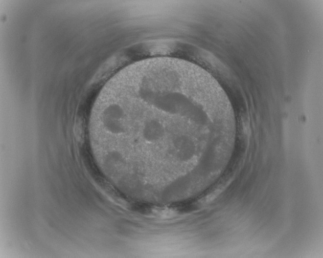 X0000070350311200607072045