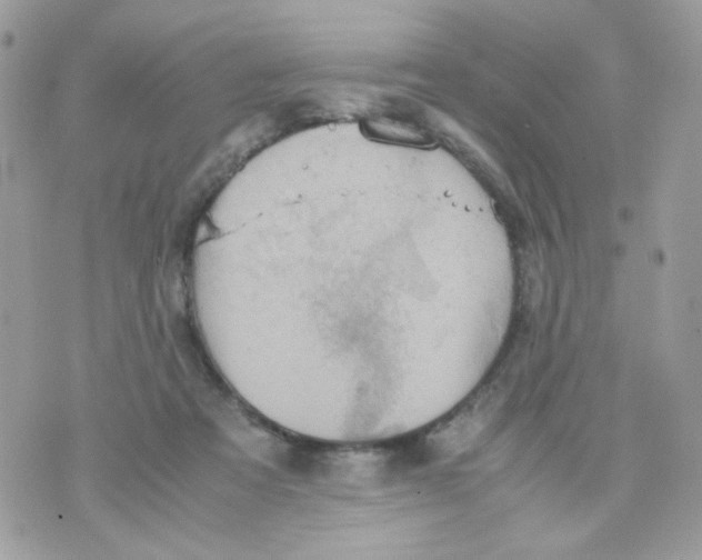 X0000070350313200607072045