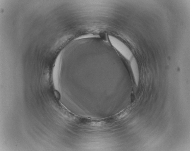 X0000070350314200607072045