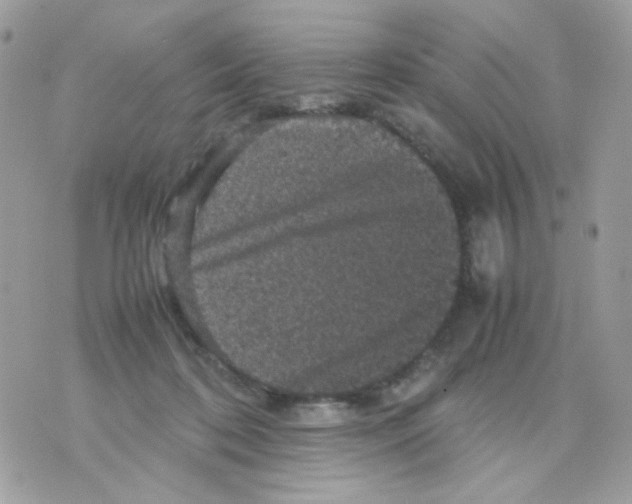 X0000070350316200607072045