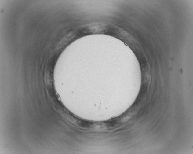 X0000070350317200607072045